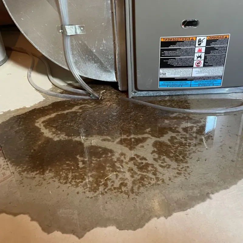 Pipe Burst and Leak Restoration in Abilene, TX