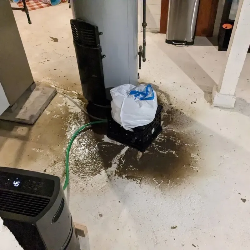 Sewage Backup Cleanup Service in Abilene, TX